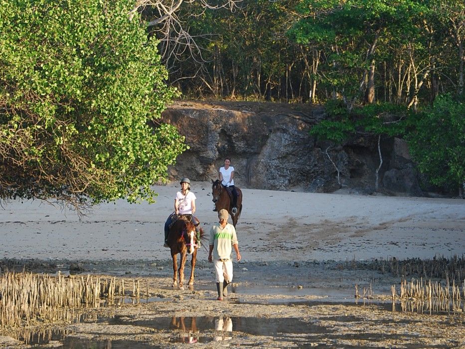 Отель The Menjangan By Lifestyleretreats Баньюведанг Экстерьер фото